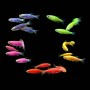 Данио Glo (Danio rerio GLOFISH)